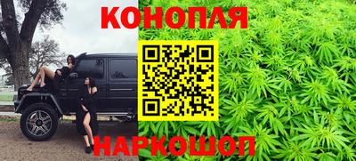 гашик Заводоуковск