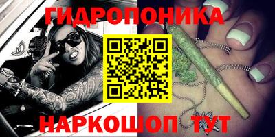 гашик Заводоуковск