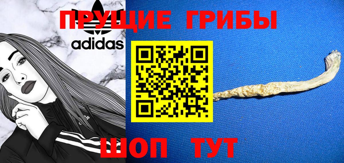 Лабинск  Галлюциногенные грибы мицелий  Вход с VPN  что такое   Галлюциногенные грибы Psilocybine cubensis 